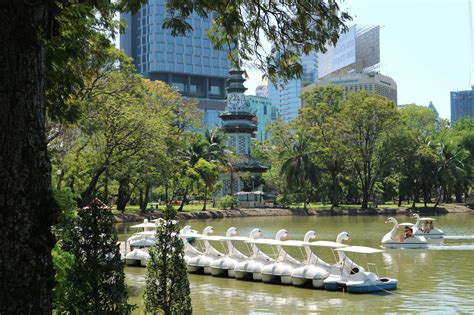 有鳥|曼谷倫披尼公園 泰國水燈節必去(Lumphini Park)